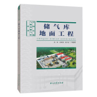 Imagen del vendedor de Ground engineering of gas storage(Chinese Edition) a la venta por liu xing