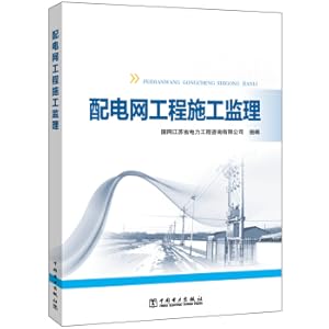 Seller image for Construction Supervision of Distribution Network Project(Chinese Edition) for sale by liu xing