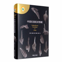 Seller image for China Carboniferous Conodont(Chinese Edition) for sale by liu xing