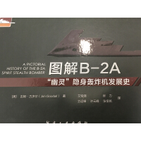 Seller image for B-2A Ghost stealth bomber(Chinese Edition) for sale by liu xing