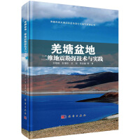 Immagine del venditore per Two-dimensional seismic exploration technology and practice in Qiangtang Basin(Chinese Edition) venduto da liu xing