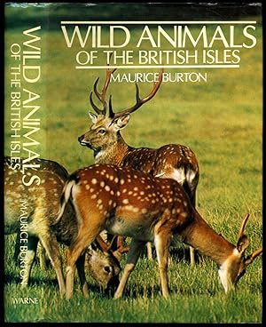 Seller image for Wild Animals of the British Isles [Wayside and Woodland Larger Reference Series Format] for sale by Little Stour Books PBFA Member