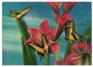Imagen del vendedor de 3D-Ansichtskarte Schmetterlinge beim anfliegen einer Blume a la venta por Bartko-Reher