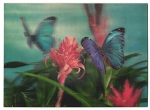 Imagen del vendedor de 3D-Ansichtskarte Schmetterlinge umfliegen eine Blume a la venta por Bartko-Reher