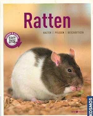 Ratten: halten, pflegen, beschäftigen (Mein Tier)