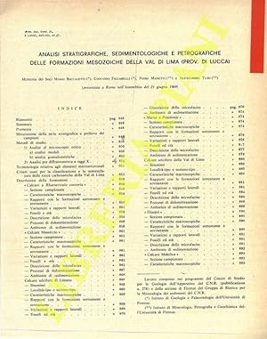 Analisi stratigrafiche, sedimentologiche e petrografiche delle formazioni mesozoiche della Val di...