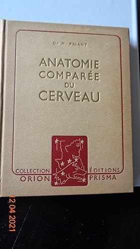 Anatomie Comparée Du Cerveau