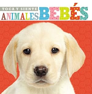 Immagine del venditore per Toca y siente animales bebs -Language: spanish venduto da GreatBookPrices