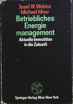 Bild des Verkufers fr Betriebliches Energiemanagement : aktuelle Investition in die Zukunft. zum Verkauf von books4less (Versandantiquariat Petra Gros GmbH & Co. KG)