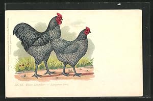Künstler-Ansichtskarte Hühnerpaar der Rasse Blaue Langshan