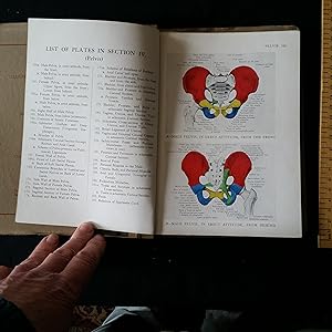 Seller image for Illustrations of Regional Anatomy Section IV Pelvis for sale by Nineveh Books