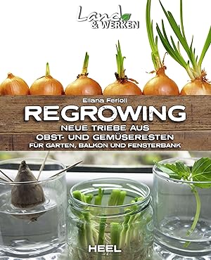 Regrowing - vom Gemüserest zum Gemüsebeet