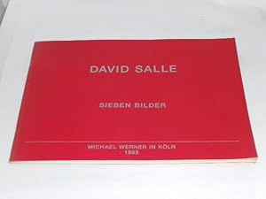 Seller image for David Salle. Sieben Bilder. for sale by Der-Philo-soph