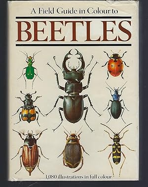 A Field Guide in Colour to Beetles