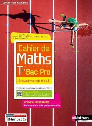 spirales : cahier de maths : terminale bac pro ; groupements A et B (spirales) ; livre + licence ...