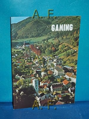 Seller image for Gaming. for sale by Antiquarische Fundgrube e.U.