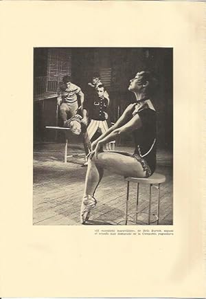 Seller image for LAMINA 25638: La bailarina Bela Bartok for sale by EL BOLETIN