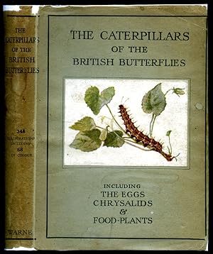 Seller image for The Caterpillars of the British Butterflies | Including The Eggs, Chrysalids and Food-Plants | Based Upon 'The Butterflies of the British Isles' by Richard South | Edited and with Special Articles by G. H. T. Stovin (Frederick Warne's Wayside and Woodland Series). for sale by Little Stour Books PBFA Member