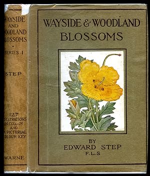 Seller image for Wayside and Woodland Blossoms | A Guide to British Wild-Flowers (First Series | Series I | One) with Clear Descriptions of 349 Species. (Frederick Warne's Wayside and Woodland Series). for sale by Little Stour Books PBFA Member