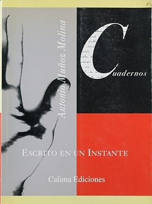 Imagen del vendedor de Escrito en un instante a la venta por Librera Alonso Quijano