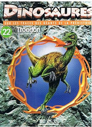 Dinosaures 22 - Troodon