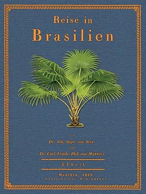 Bild des Verkufers fr Reise in Brasilien - 3 zum Verkauf von Antiquariat  Fines Mundi
