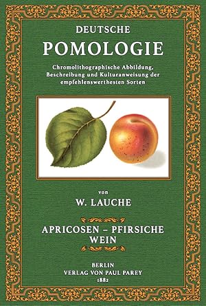 Seller image for Deutsche Pomologie - Apricosen, Pfirsiche, Wein for sale by Antiquariat  Fines Mundi