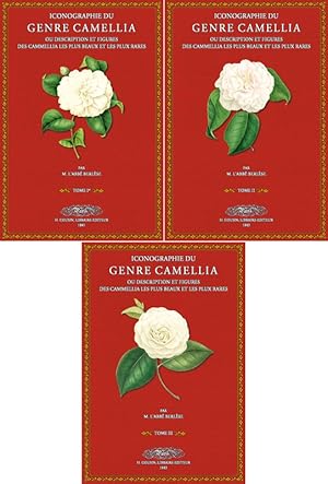 Iconographie du Genre Camellia - 1 - 3