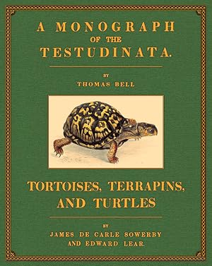 Tortoises, Terrapins and Turtles