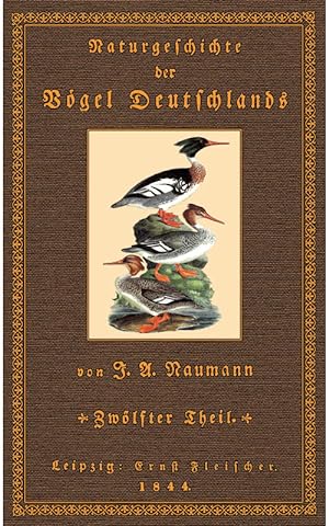 Johann Friedrich Naumann Die Vögel Mitteleuropas Spiel Deutsch 2020 