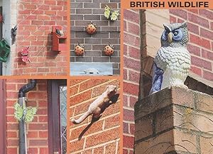 Ladybird Insect Wall Models Owl & Squirrel Statue Wildlife Postcard