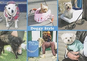 Bild des Verkufers fr Doggy Style Beautiful Crazy British Pub Pram Dogs Comic Postcard zum Verkauf von Postcard Finder