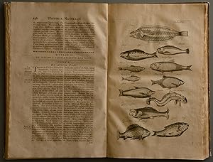 Seller image for Historiae naturalis de piscibus et cetis. (und) de exanguibus aquaticis. for sale by Antiquariat Tresor am Roemer