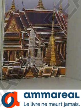 Immagine del venditore per Voyage en Thalande venduto da Ammareal
