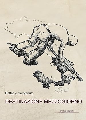 Bild des Verkufers fr Destinazione Mezzogiorno zum Verkauf von Libro Co. Italia Srl