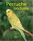 Seller image for La Perruche Ondule for sale by RECYCLIVRE