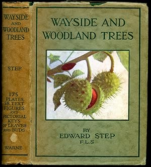 Bild des Verkufers fr Wayside and Woodland Trees | A Guide to the British Sylva (Frederick Warne's Wayside and Woodland Series). zum Verkauf von Little Stour Books PBFA Member