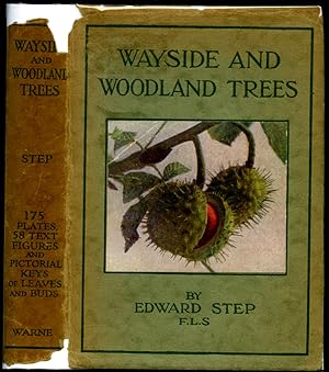 Bild des Verkufers fr Wayside and Woodland Trees | A Guide to the British Sylva (Frederick Warne's Wayside and Woodland Series). zum Verkauf von Little Stour Books PBFA Member