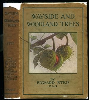 Bild des Verkufers fr Wayside and Woodland Trees | A Guide to the British Sylva (Frederick Warne's Wayside and Woodland Series). zum Verkauf von Little Stour Books PBFA Member