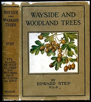 Bild des Verkufers fr Wayside and Woodland Trees | A Guide to the British Sylva (Frederick Warne's Wayside and Woodland Series). zum Verkauf von Little Stour Books PBFA Member