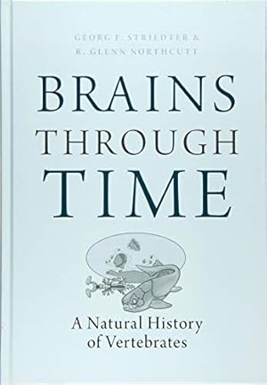 Seller image for Brains Through Time: A Natural History of Vertebrates by Striedter, Georg F., Northcutt, R. Glenn [Hardcover ] for sale by booksXpress