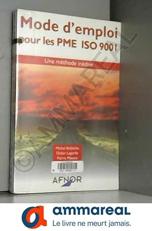 Immagine del venditore per Mode d'emploi pour les PME ISO 9001 : Une mthode indite venduto da Ammareal