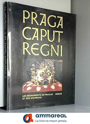 Seller image for Praga caput regni. le smonuments de prague et ses environs for sale by Ammareal