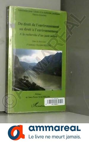 Bild des Verkufers fr Du droit de l'environnement au droit  l'environnement : A la recherche d'un juste milieu zum Verkauf von Ammareal