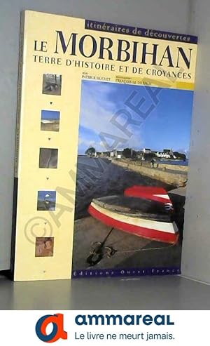 Immagine del venditore per Le Morbihan : Terre d'histoire et de croyances venduto da Ammareal