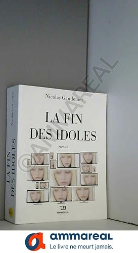 Seller image for La fin des idoles for sale by Ammareal