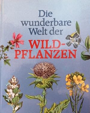 Imagen del vendedor de Die wunderbare Welt der Wildpflanzen a la venta por Buchhandlung Loken-Books