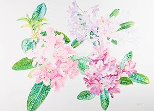 Seller image for John Ivor Stewart PPPS (1936-2018) - Contemporary Watercolour, Flowering Laurel for sale by Sulis Fine Art
