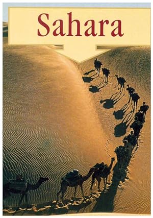 Seller image for Sahara. DuMont richtig Reisen. for sale by Ant. Abrechnungs- und Forstservice ISHGW