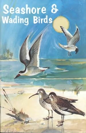 Seller image for Seashore and Wading Birds of Florida for sale by GreatBookPricesUK